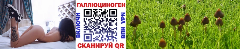 Псилоцибиновые грибы прущие грибы  наркота  Вяземский 
